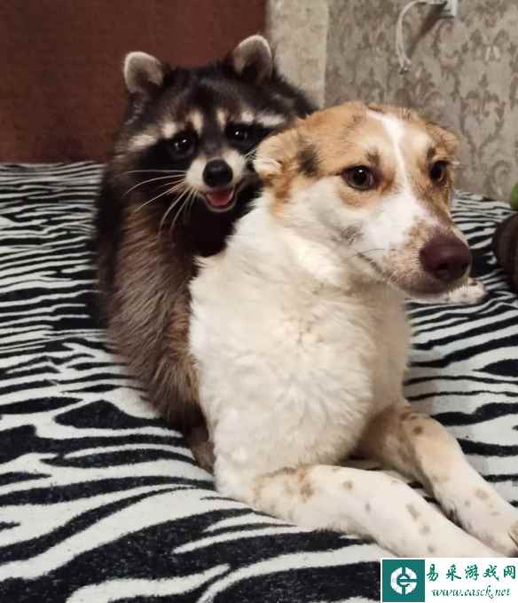 /news/2023/05-16/84457.shtml