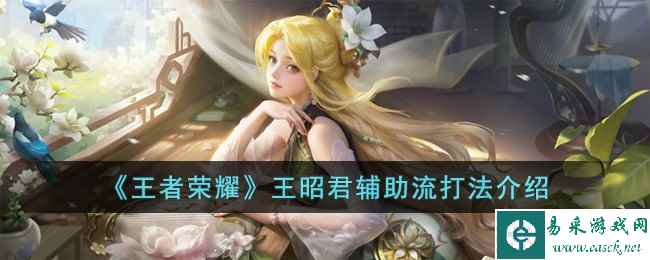 《王者荣耀》王昭君辅助流打法介绍