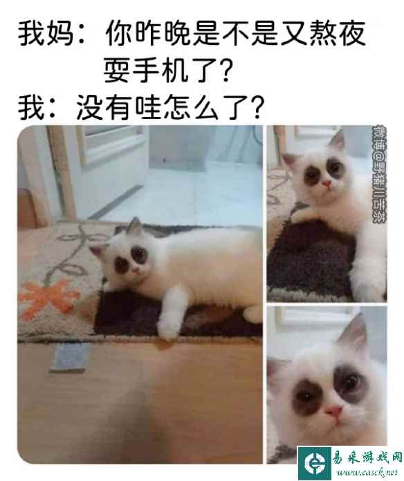 /news/2023/05-17/84946.shtml