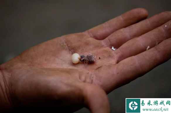 /news/2023/05-17/84989.shtml