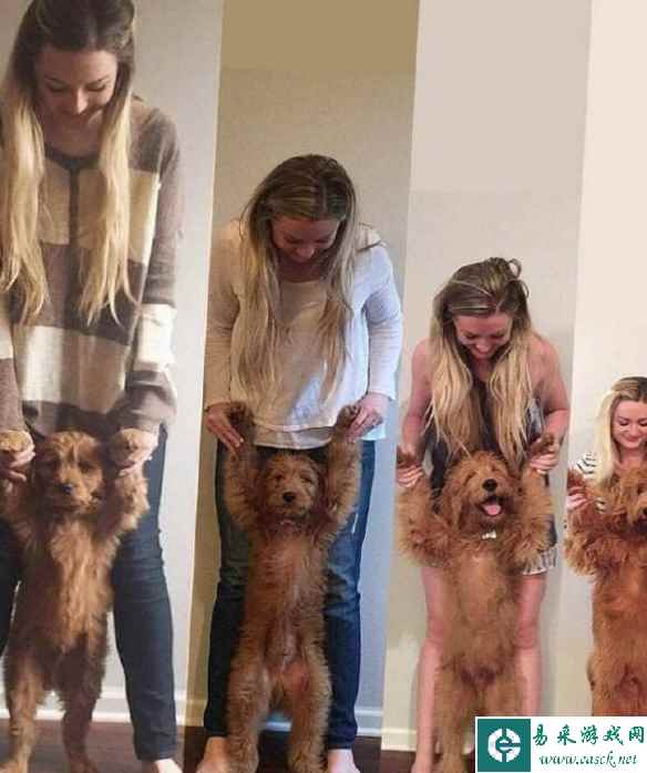 /news/2023/05-22/86463.shtml