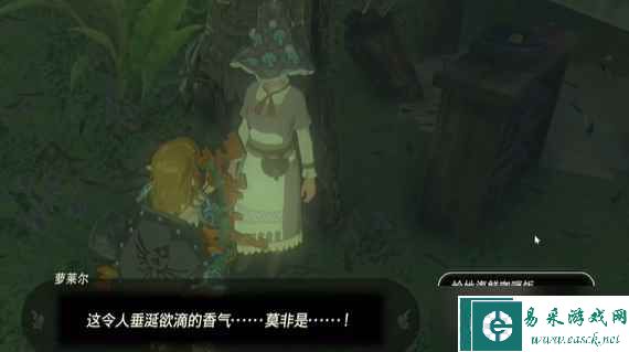 塞尔达传说烦恼的剪莱尔任务怎么做