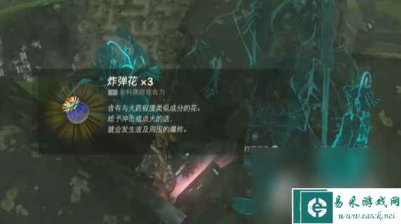《塞尔达传说王国之泪》我们的宝物任务攻略