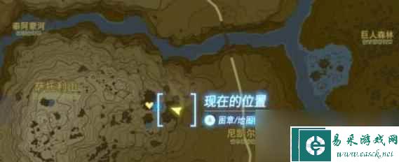《塞尔达传说王国之泪》海拉鲁草在哪里