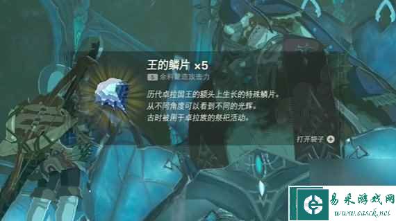 塞尔达传说王国之泪王的鳞片怎么得 多雷凡大王位置在哪
