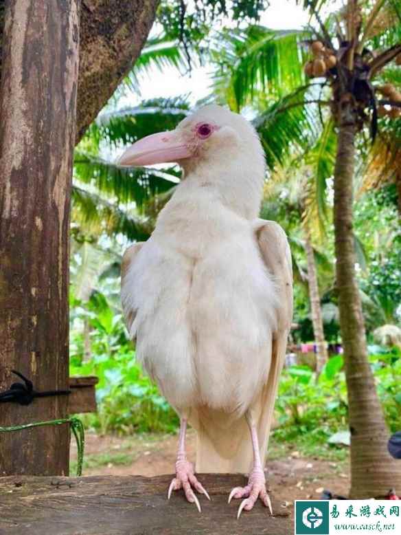 /news/2023/05-23/86718.shtml