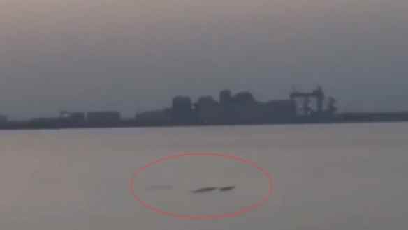 /news/2023/05-25/87610.shtml