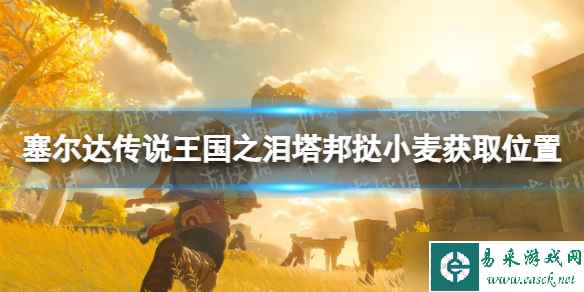 《塞尔达传说王国之泪》塔邦挞小麦获取位置 塔邦挞小麦在哪