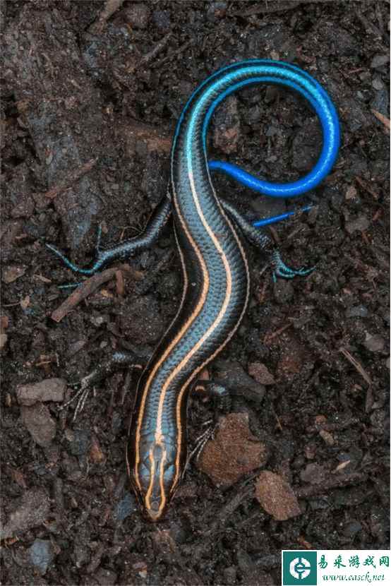 /news/2023/05-25/87966.shtml