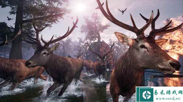 扮演蜜袋鼯在大自然中旅行的PS4/PS5动作冒险游戏《AWAY》今日推出