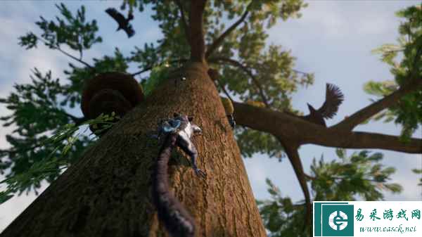 扮演蜜袋鼯在大自然中旅行的PS4/PS5动作冒险游戏《AWAY》今日推出