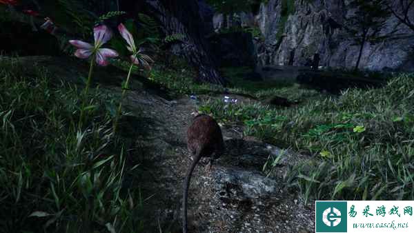 扮演蜜袋鼯在大自然中旅行的PS4/PS5动作冒险游戏《AWAY》今日推出