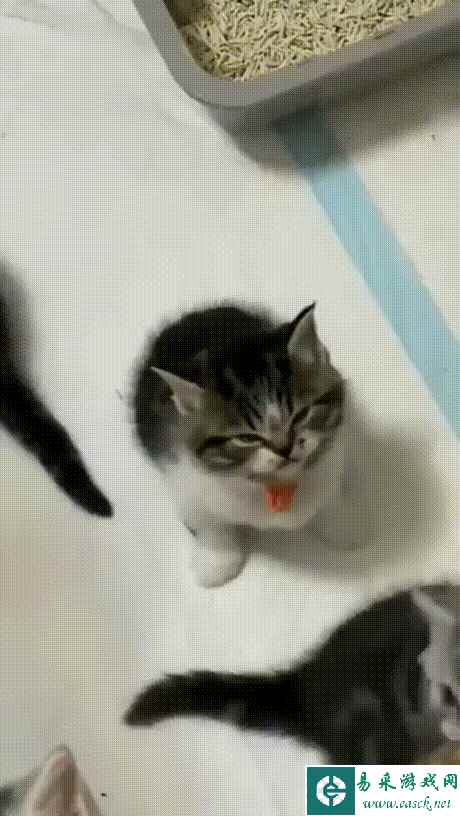 /news/2023/05-26/88457.shtml