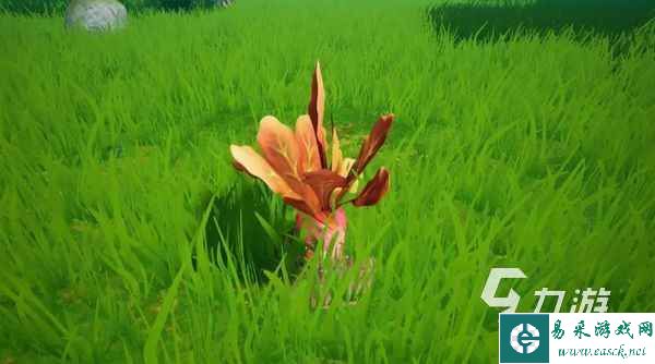创造吧我们的星球糖怎么获取 创造吧我们的星球糖获取攻略