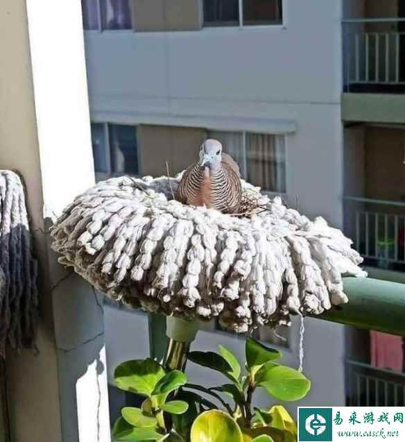 /news/2023/05-28/89052.shtml