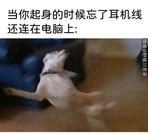 /news/2023/05-29/89245.shtml