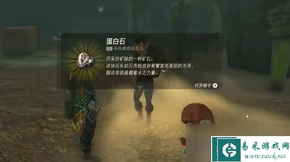 《塞尔达传说：王国之泪》宝贵的宝物任务攻略