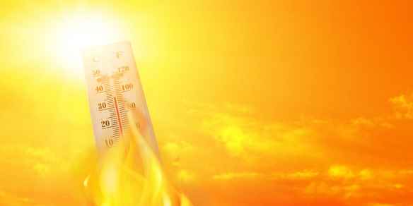 /news/2023/05-30/89645.shtml