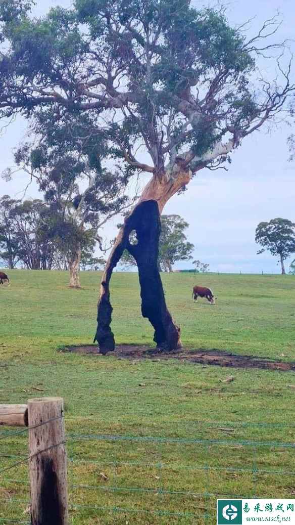 /news/2023/05-31/89989.shtml