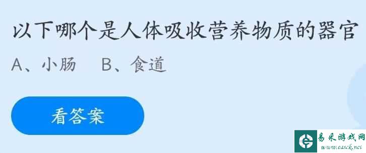 《支付宝》2023蚂蚁庄园5月31日答案最新