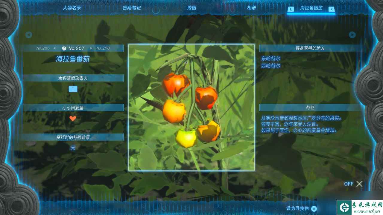 塞尔达传说王国之泪海拉鲁番茄在哪里