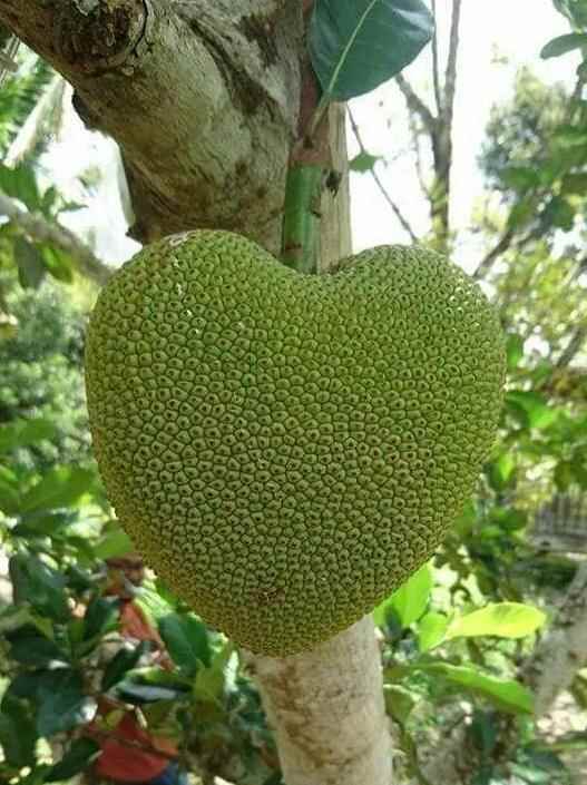 /news/2023/06-03/91904.shtml