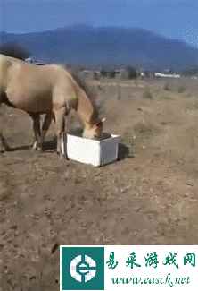 /news/2023/06-03/91931.shtml