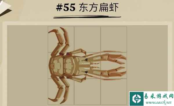 《渔帆暗涌》东方扁虾位置一览