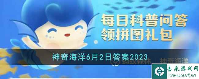 海马是鱼吗