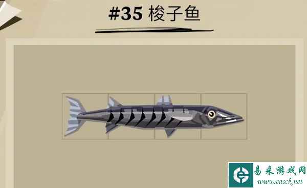 《渔帆暗涌》梭子鱼位置一览
