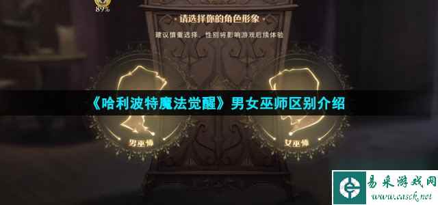 《哈利波特魔法觉醒》男女巫师区别介绍