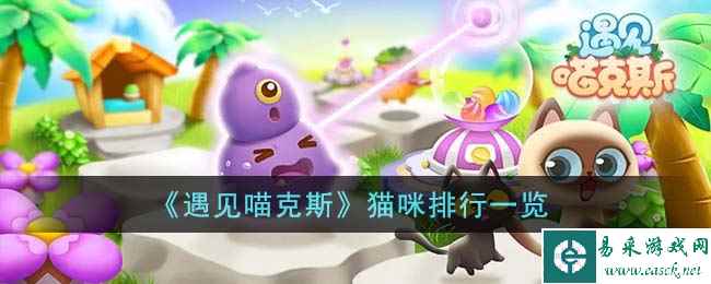 《遇见喵克斯》猫咪排行一览