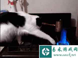 原来不用皮筋是为了给我们发福利 动图 你小子故意的吧