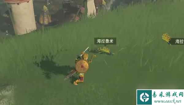 《塞尔达传说王国之泪》海拉鲁米速刷地点介绍