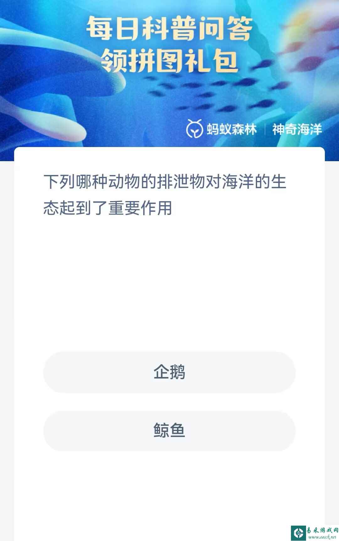 下列哪种动物的排泄物对海洋的生态起到了重要作用