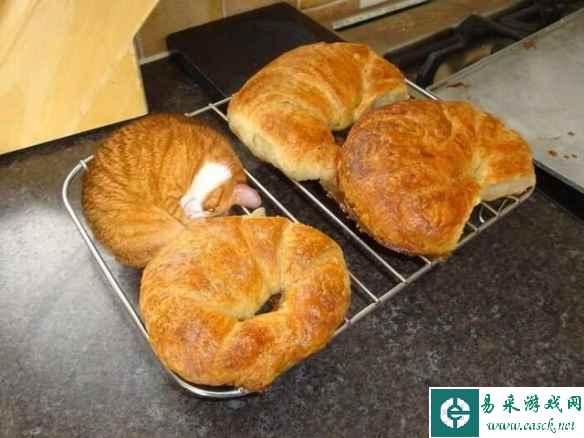 让你食欲大开却吃不到！以假乱真的27张“食物”照片