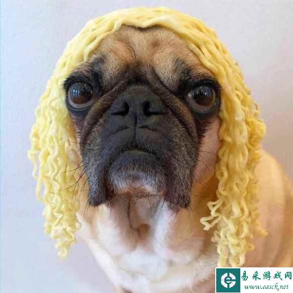 这生蚝有几分象拔蚌的神韵了 囧图 西伯利亚小仓鼠