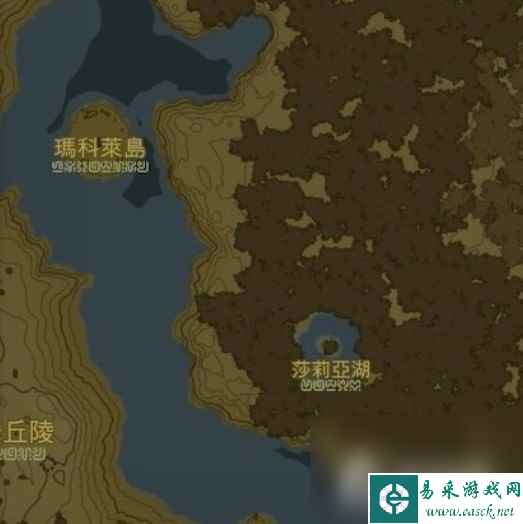 《塞尔达传说王国之泪》迷雾森林走法教程