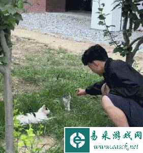 易采游戏网