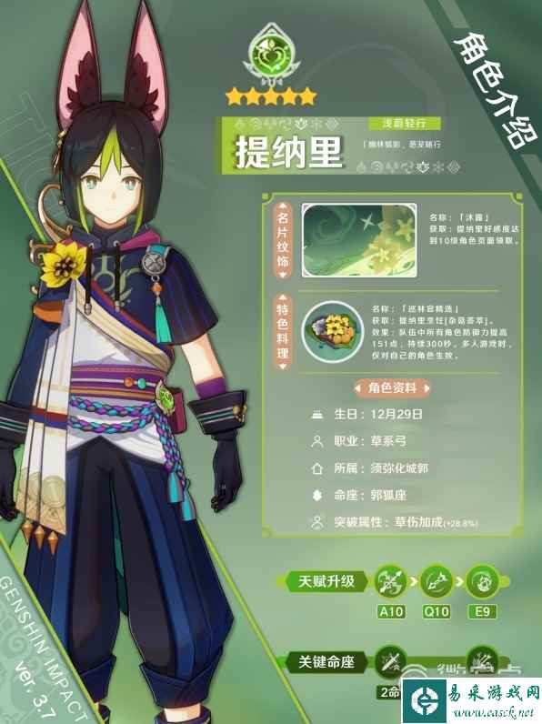 原神3.7版提纳里出装与队伍搭配推荐指南