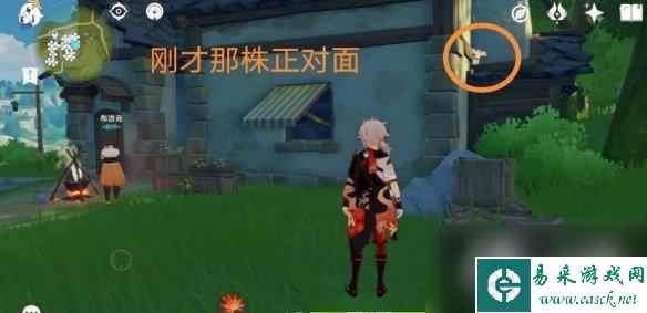 《原神》3.8可莉突破材料慕风蘑菇采集路线推荐？