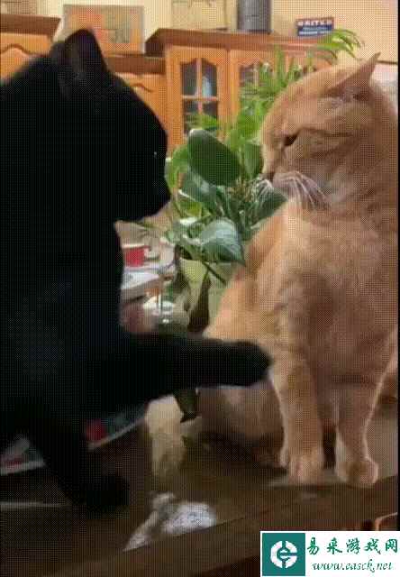 易采游戏网