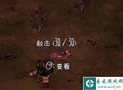 饥荒联机版鼹鼠怎么抓活的
