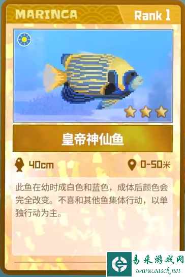《潜水员戴夫》皇帝神仙鱼抓捕攻略