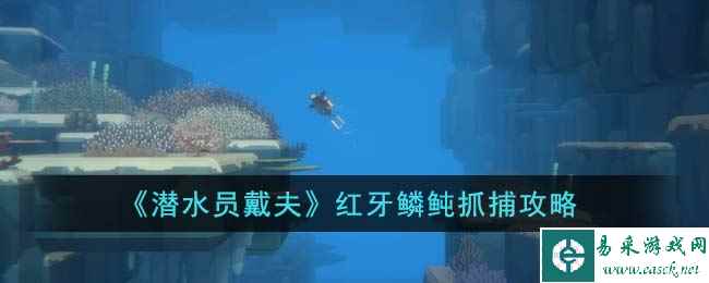 《潜水员戴夫》红牙鳞鲀抓捕攻略