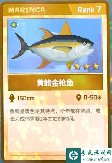 《潜水员戴夫》黄鳍金枪鱼抓捕攻略