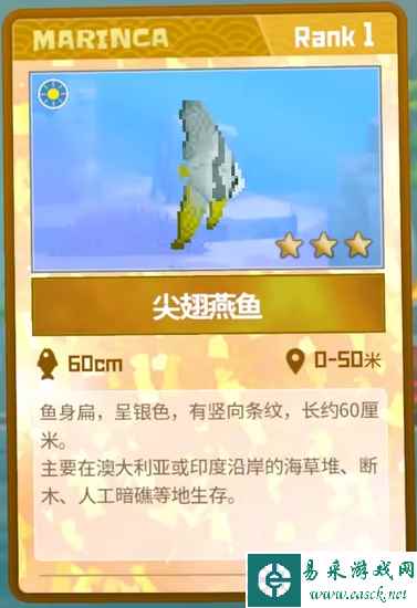 《潜水员戴夫》尖翅燕鱼抓捕攻略