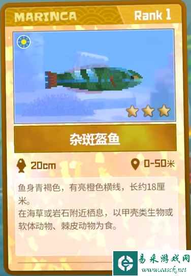 《潜水员戴夫》杂斑盔鱼抓捕攻略