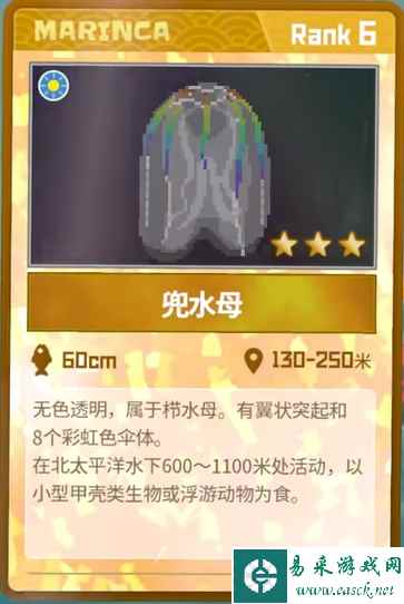 《潜水员戴夫》兜水母抓捕攻略