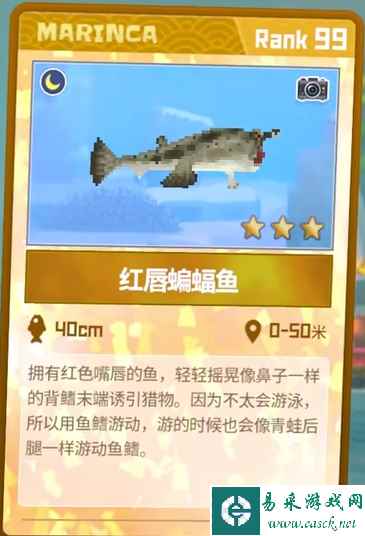 《潜水员戴夫》红唇蝙蝠鱼抓捕攻略